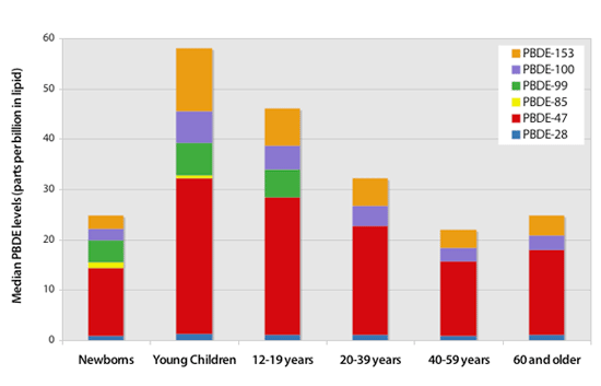 Bar chart showing that young children have higher levels of PBDEs than other age groups