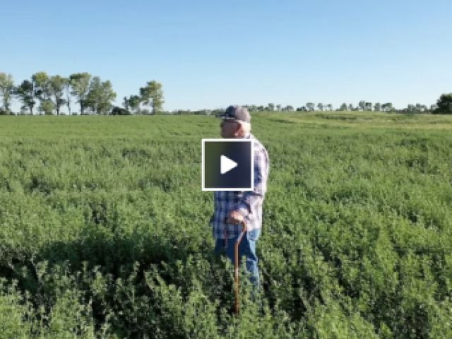Farmer standing in middle of field