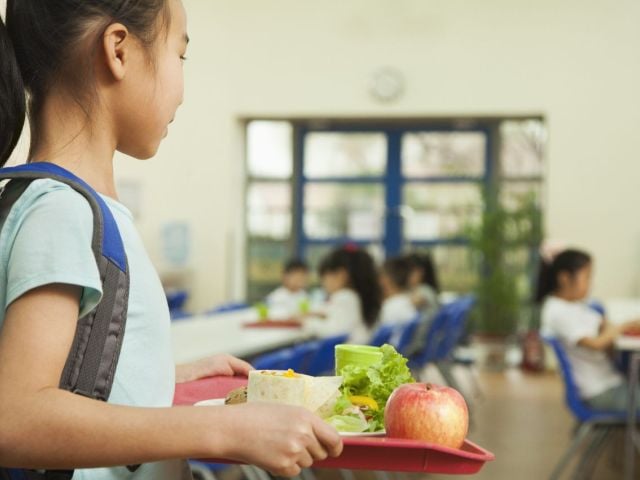 Child holding school lunch