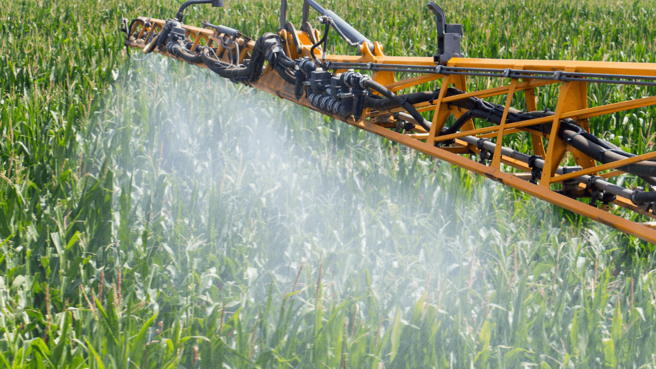 Corn Pesticide Spraying