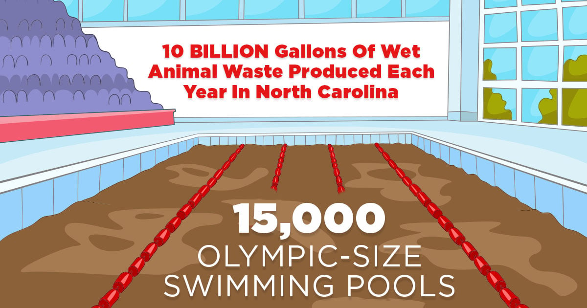 10 billion gallons of wet animal waste are produced each year in North Carolina